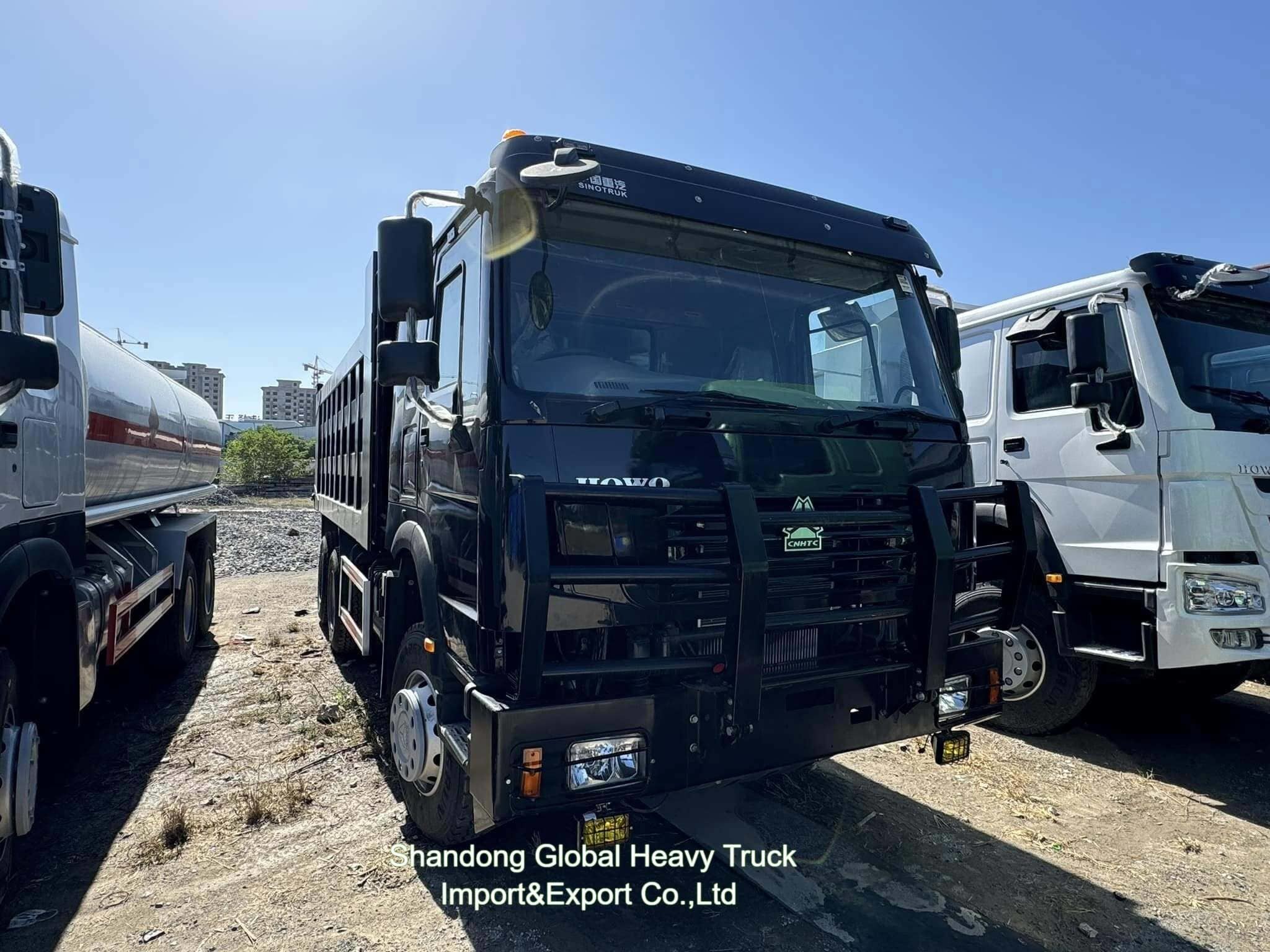 سینوتراک HOWO 6X6 8X4 6X4 10 چرخ 12 چرخ کامیون ریختن کامیون ریختن کامیون