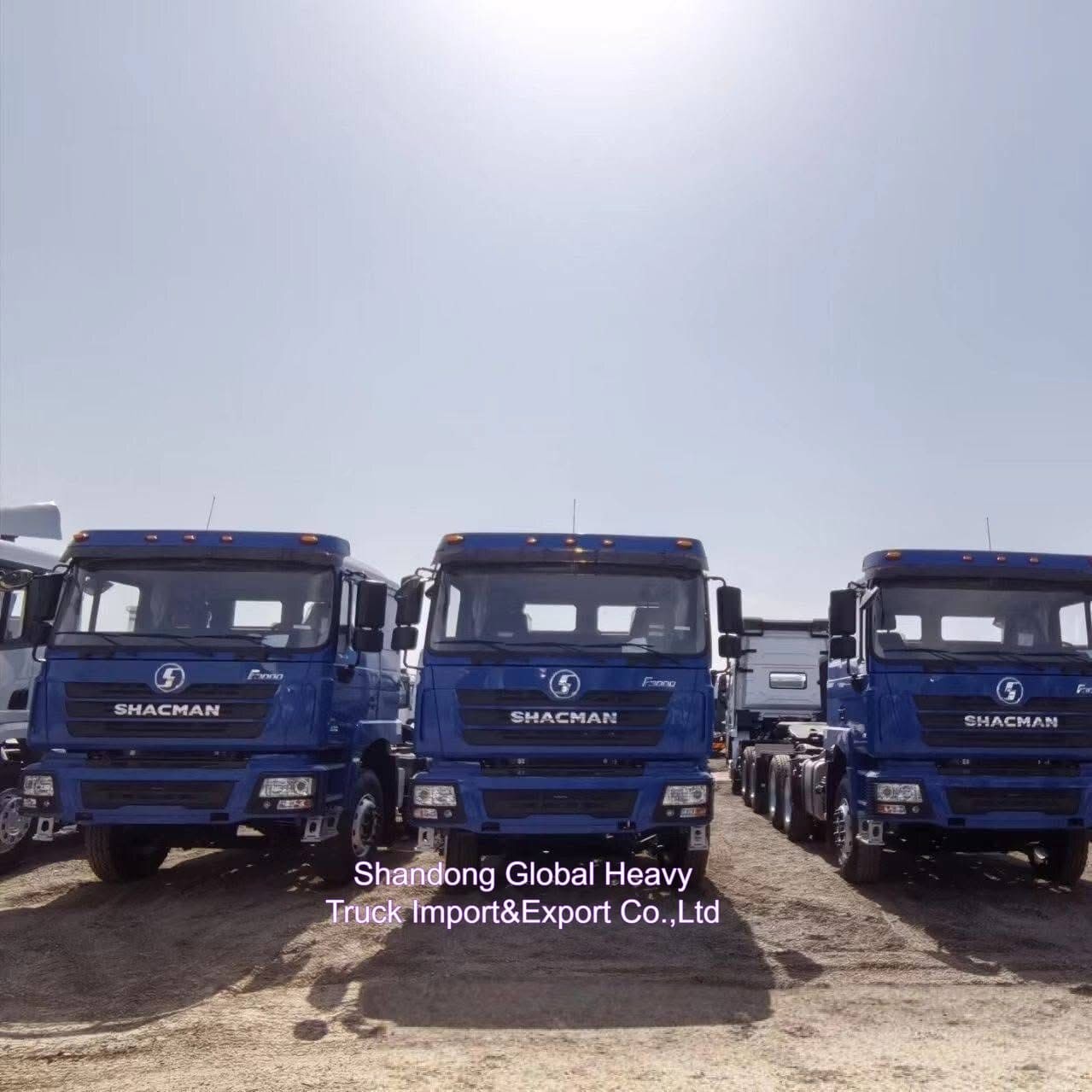 30 تن SHACMAN F3000 6x4 10 چرخ کامپری برای کار معدن