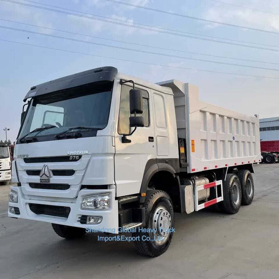 دست دوم 32 30 35 تن کامیون های کپی دیزل استفاده شده Sinotruck HOWO 6X4 کامپ