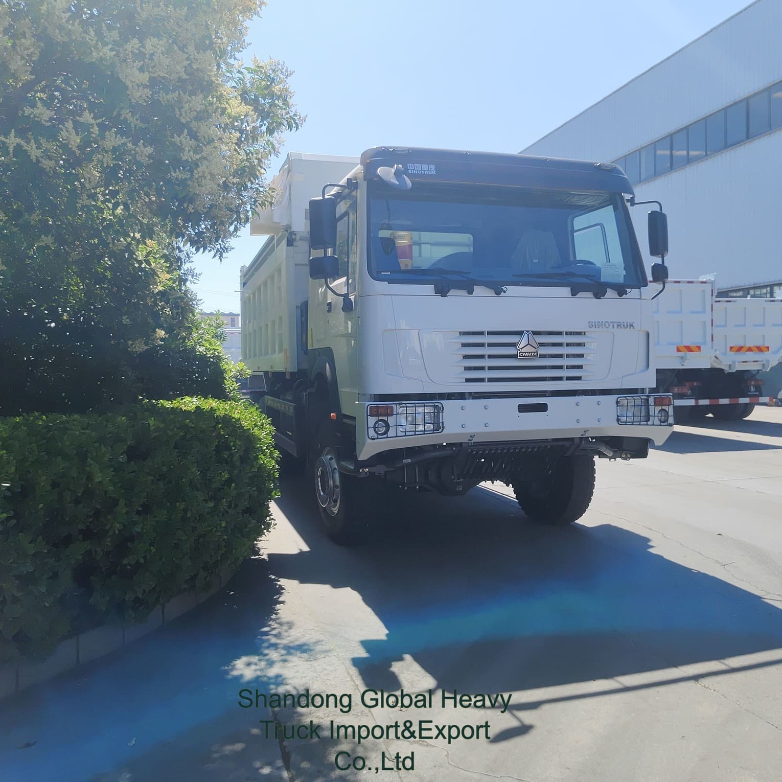 سینوتروک HOWO 6X4 371HP 380HP 8X4 400HP دامپر تیپر تیپینگ دیزل سینوتروک